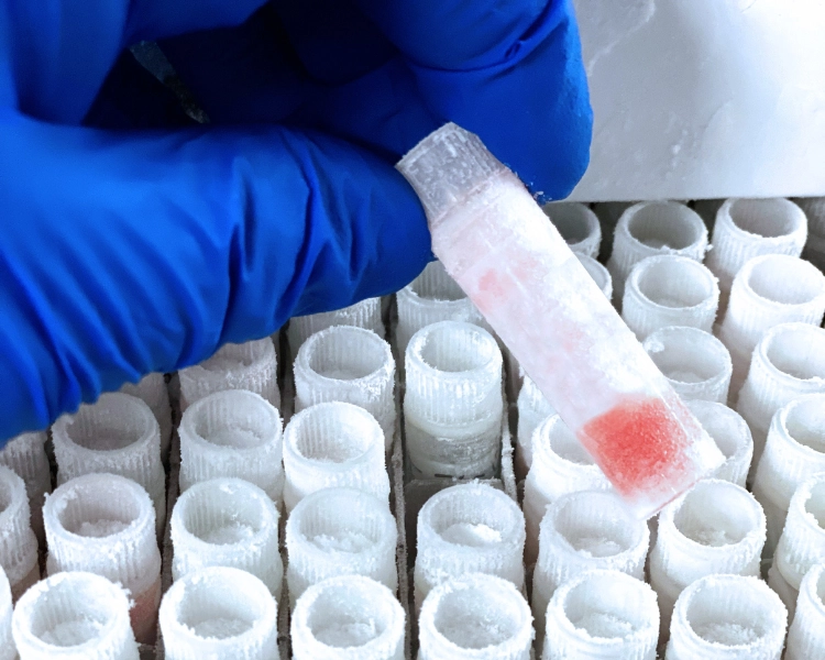 Biological sample transport services supporting secure handling of research and clinical samples.