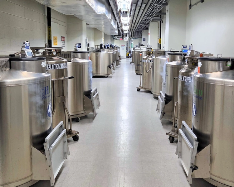 Cryogenic freezer movers managing a cryo freezer farm for laboratory relocation.